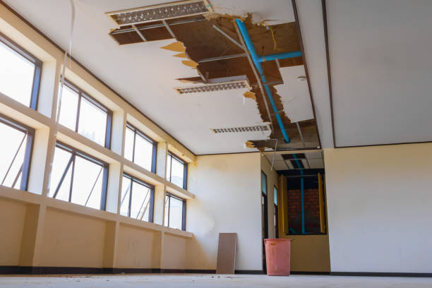 Best Commercial water damage restoration  in Lambertville, MI