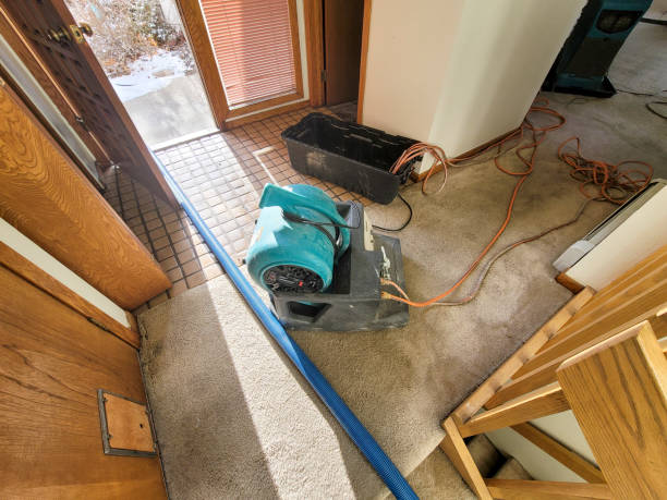 Best Flood damage cleanup  in Lambertville, MI