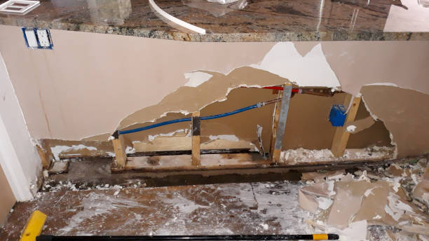Best Basement water damage restoration  in Lambertville, MI
